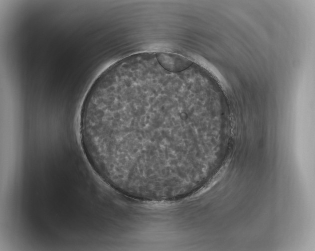 X0000100941087200807221152