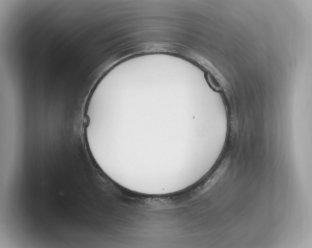 X0000100941089200807221152