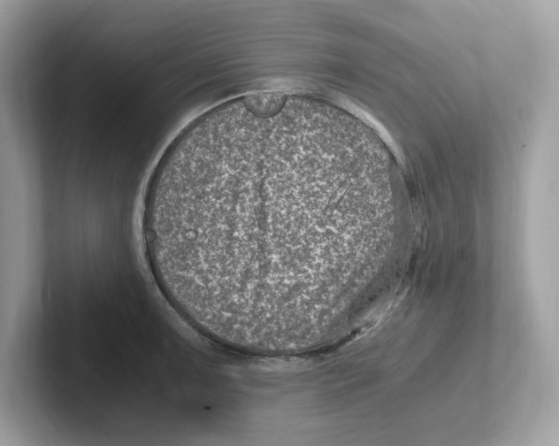 X0000100941091200807221152