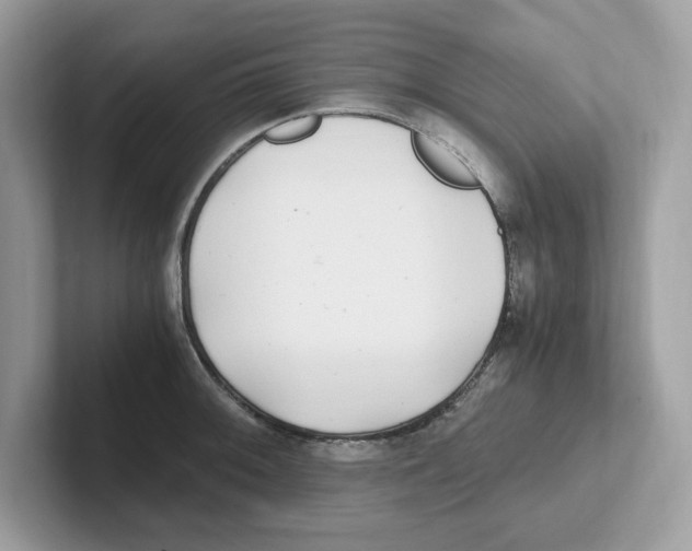 X0000100941092200807221152