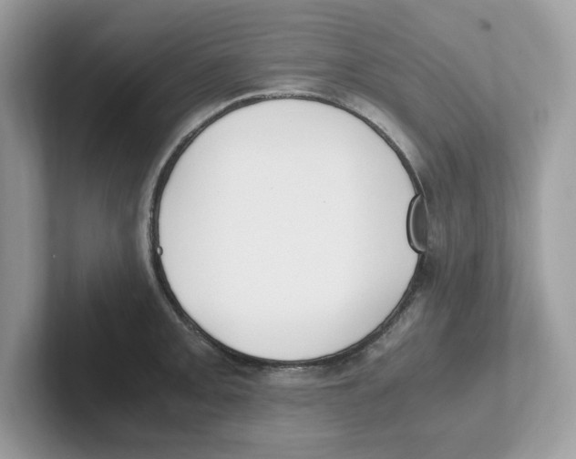 X0000100941093200807221152