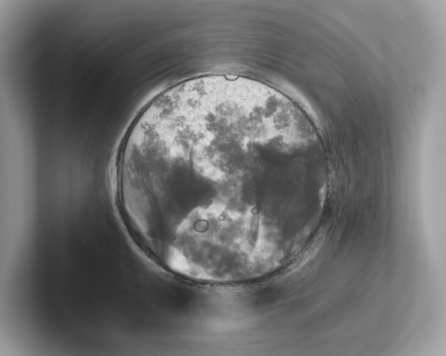 X0000100941095200807221152