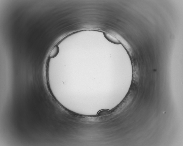 X0000100941096200807221152