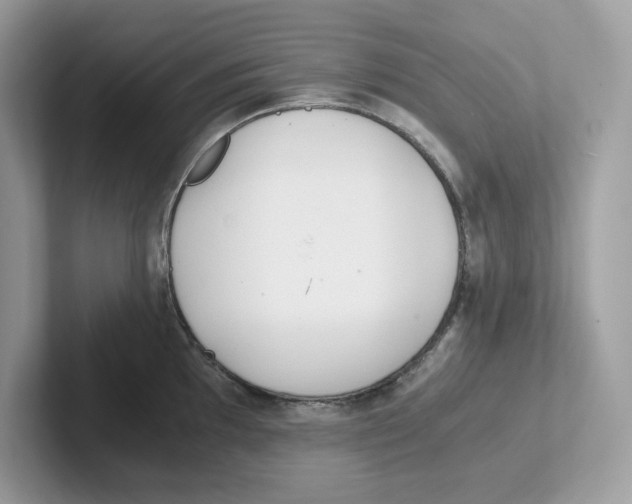 X0000100941097200807221152