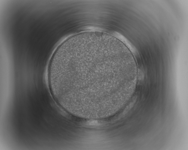 X0000100941098200807221152