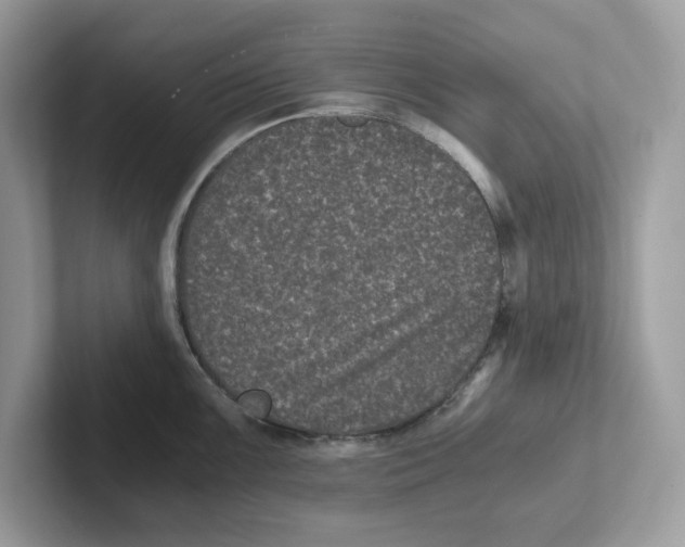 X0000100941099200807221152