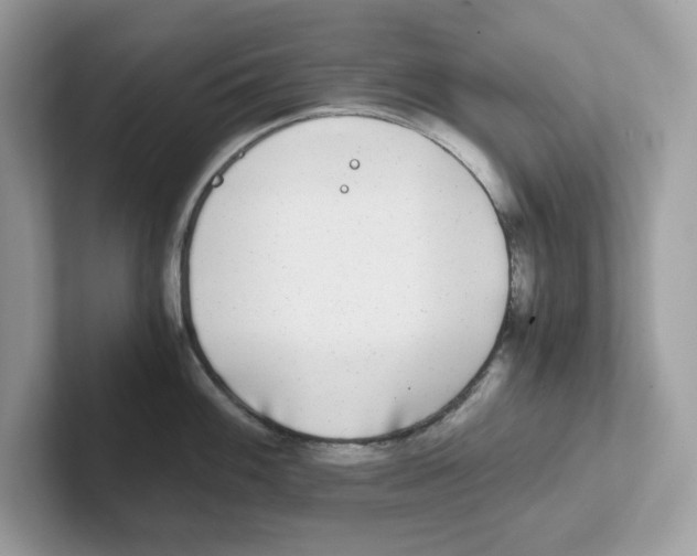 X0000100941100200807221152