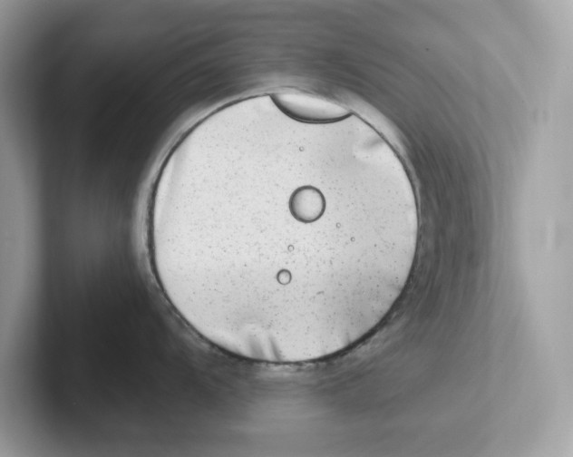 X0000100941104200807221152