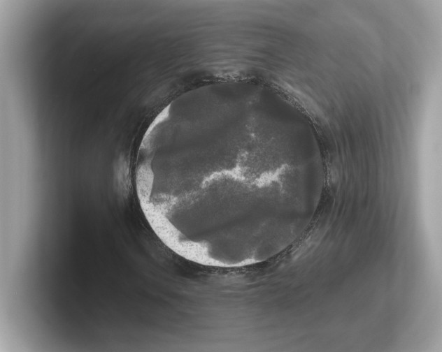 X0000100941106200807221152