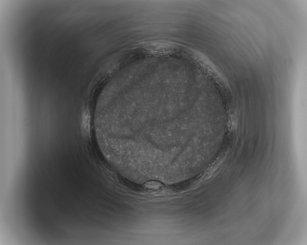 X0000100941108200807221152