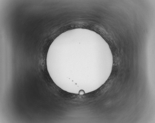 X0000100941109200807221152