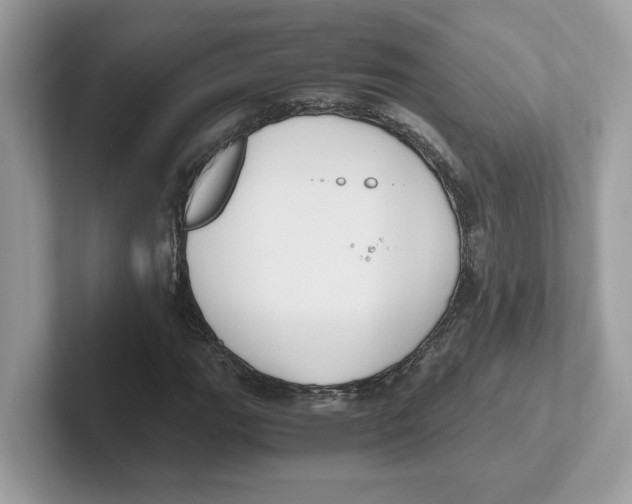 X0000100941111200807221152