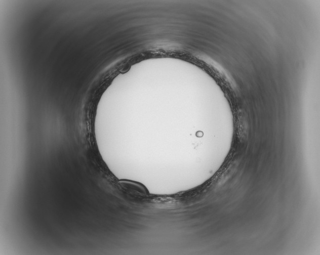 X0000100941112200807221152