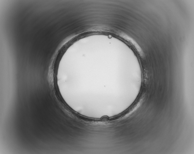 X0000100941114200807221152