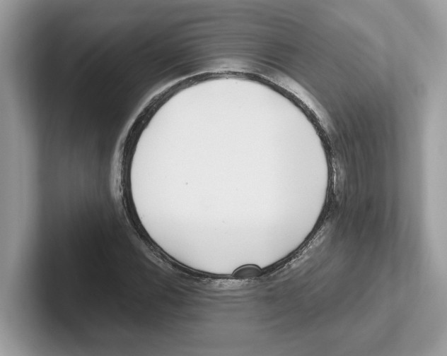 X0000100941116200807221152