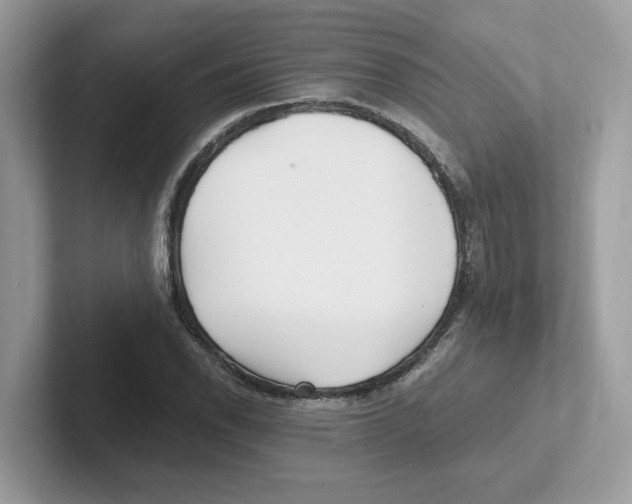 X0000100941118200807221152