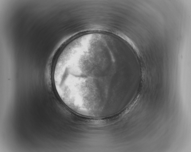 X0000100941120200807221152