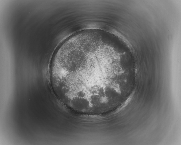 X0000100941121200807221152