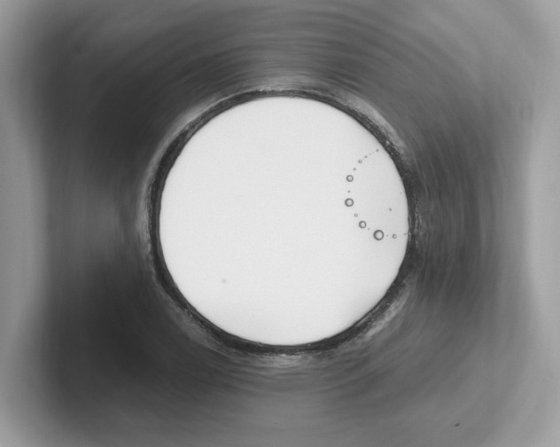 X0000100941122200807221152