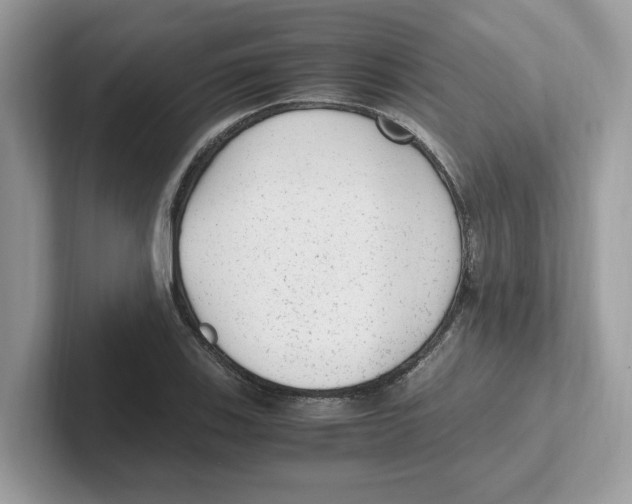 X0000100941123200807221152