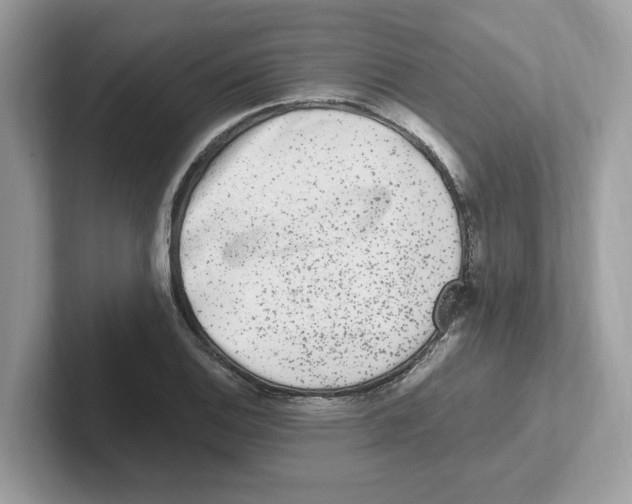 X0000100941124200807221152