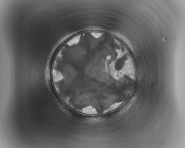 X0000100941125200807221152