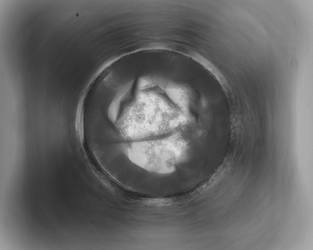 X0000100941127200807221152