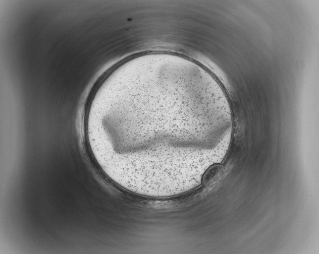 X0000100941128200807221152