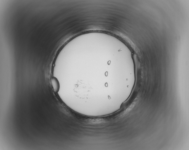 X0000100941129200807221152