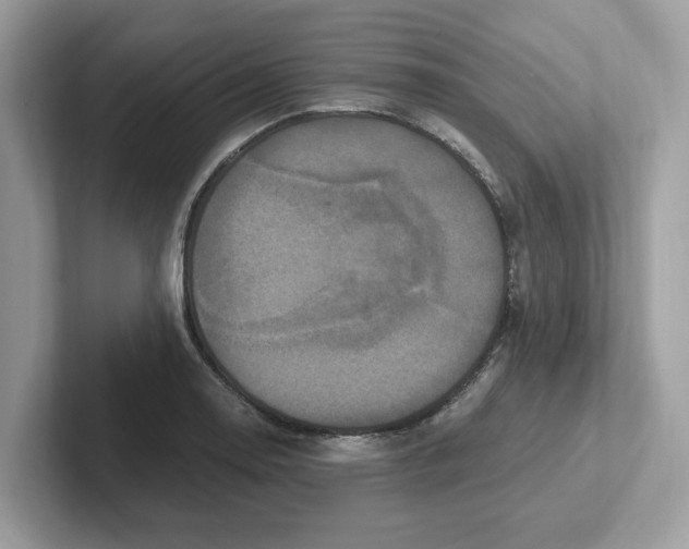 X0000100941130200807221152