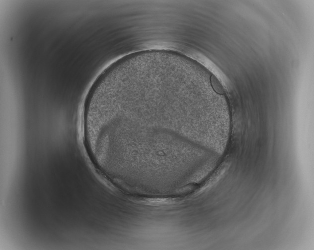 X0000100941132200807221152