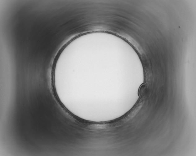 X0000100941134200807221152