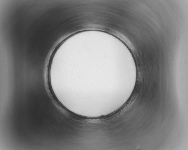 X0000100941136200807221152