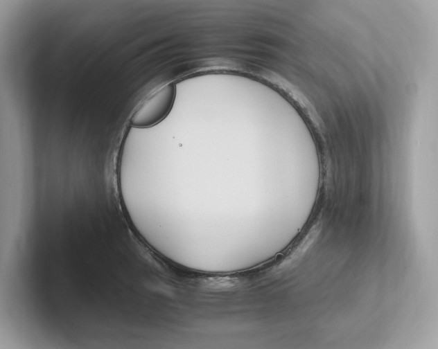 X0000100941137200807221152