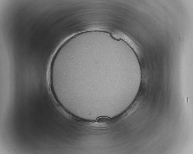 X0000100941140200807221152