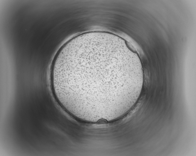 X0000100941142200807221152