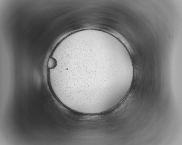 X0000100941143200807221152