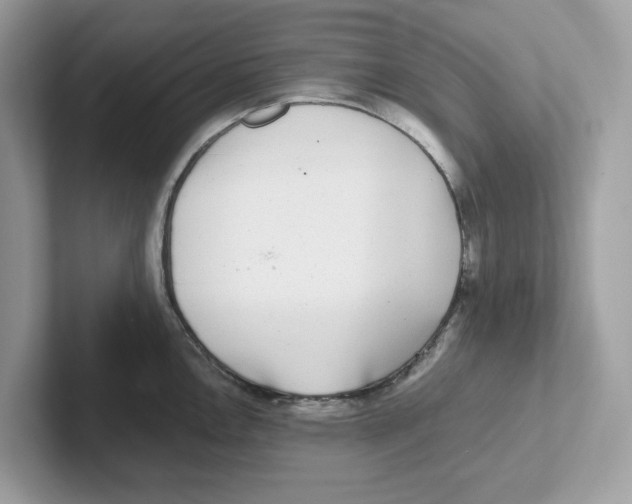 X0000100941146200807221152