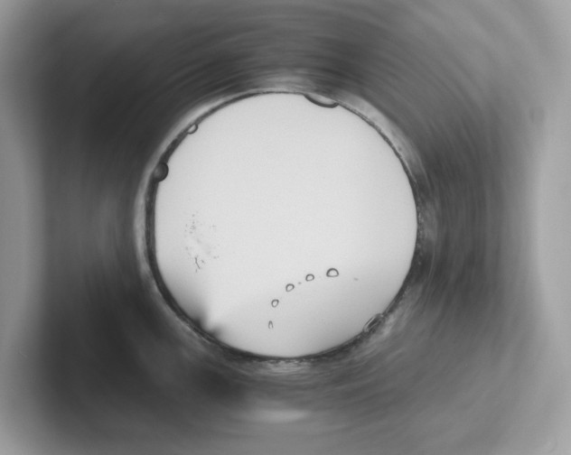 X0000100941147200807221152