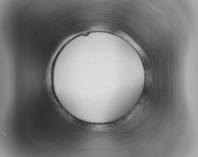 X0000100941148200807221152