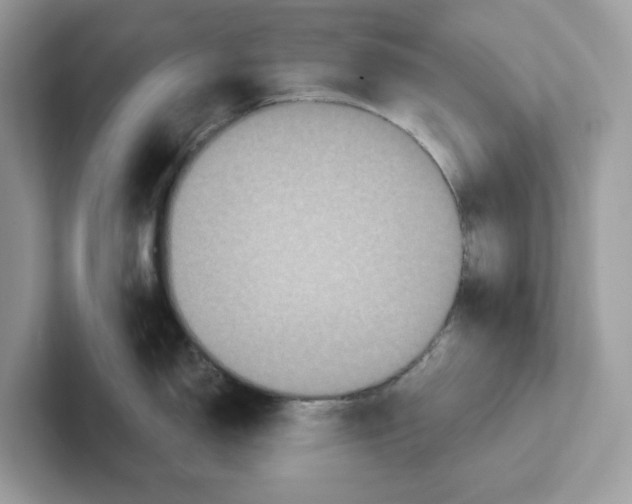 X0000100941150200807221152