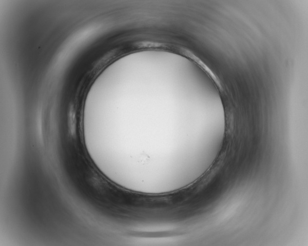 X0000100941151200807221152