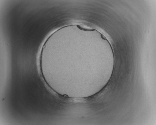 X0000100941152200807221152