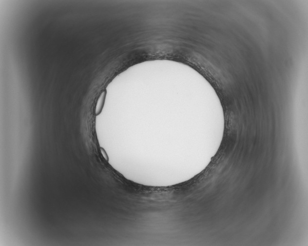 X0000100941153200807221152