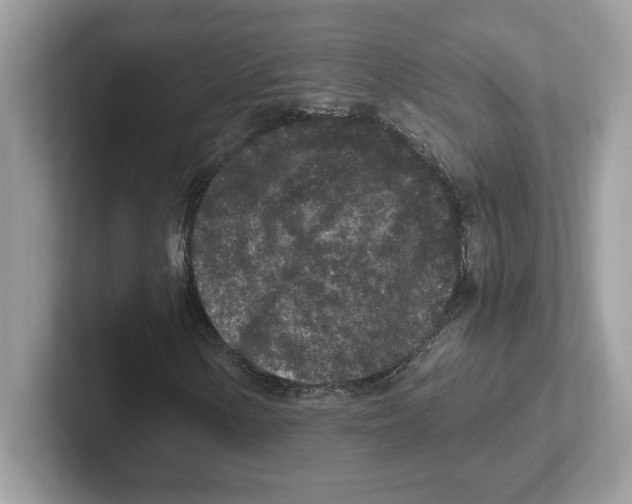 X0000100941154200807221151