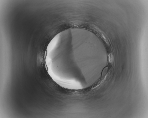 X0000100941155200807221151