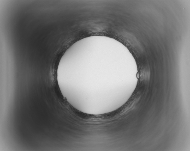 X0000100941156200807221151