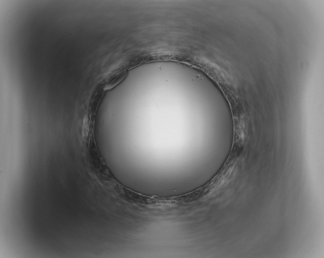 X0000100941157200807221151