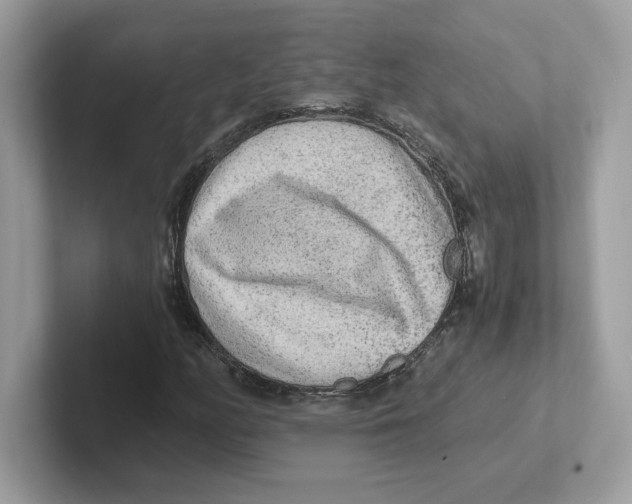 X0000100941158200807221151