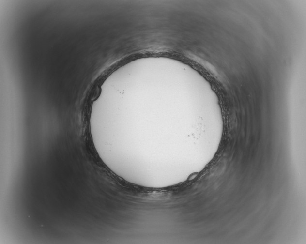 X0000100941160200807221151